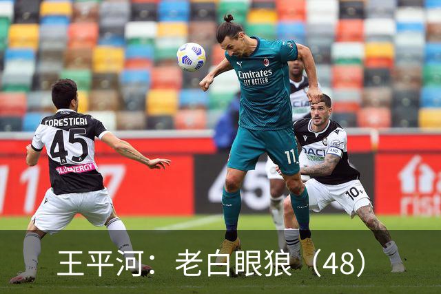 王平河：老白眼狼（4/8）
